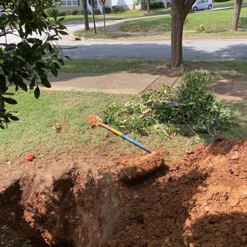 Ken's Plumbing - The tree in front of our house, raised up the sidewalk and got underneath our water pipe. Approx 47 inches deep. - Plumbing Near Me - Greenville, South Carolina Ken's Plumbing - The tree in front of our house, raised up the sidewalk and got underneath our water pipe. Approx 47 inches deep. - Plumbing Near Me - Greenville, South Carolina