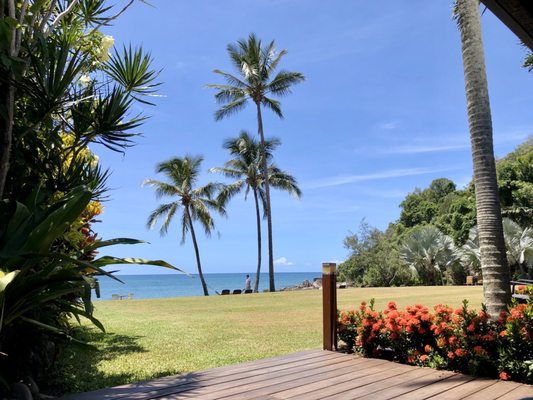 Turtle Cove Beach Resort - BYO Food/Drinks - Adults Only Space - Cairns/Port Douglas by null