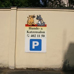 Hunde und Katzenstudio