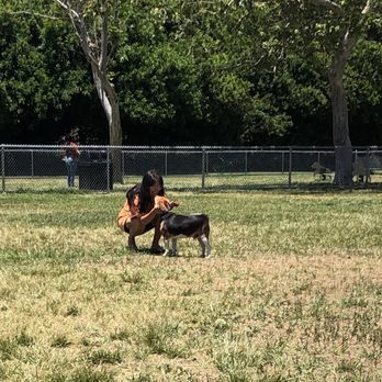 Rohr Dog Park - Dog Parks Near Me - Bonita, California Rohr Dog Park - Dog Parks Near Me - Bonita, California