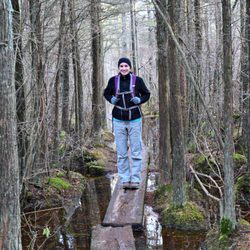 Ponkapoag Trails - Boardwalk