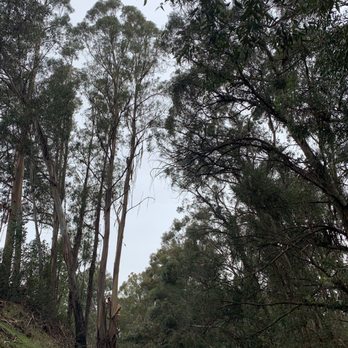 Hanns Park - Parks Near Me - Vallejo, California