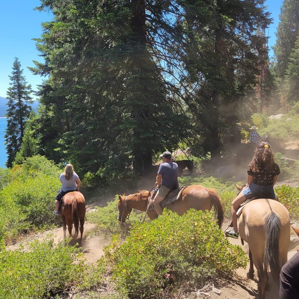 Shaver Stables - The Point Ride - Horseback Riding Near Me - Shaver Lake, California Shaver Stables - The Point Ride - Horseback Riding Near Me - Shaver Lake, California