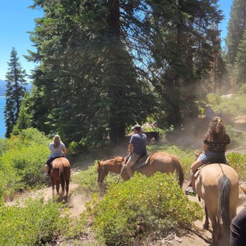 Shaver Stables - The Point Ride - Horseback Riding Near Me - Shaver Lake, California Shaver Stables - The Point Ride - Horseback Riding Near Me - Shaver Lake, California
