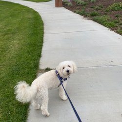 Fountain Valley Recreation Center - Nice night for a walk