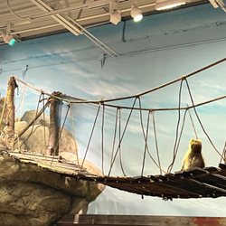 Bass Pro Shops - Bear discovers raccoons on bridge