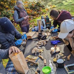 Forage Seattle - Gathering some of our finds