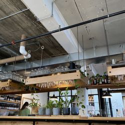 Iconoclast Coffee Roasters