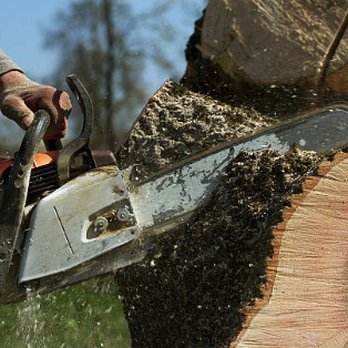 Total Lehigh Arbor Culture - Tree Services - Tree Services Near Me - Bangor , Pennsylvania Total Lehigh Arbor Culture - Tree Services - Tree Services Near Me - Bangor , Pennsylvania