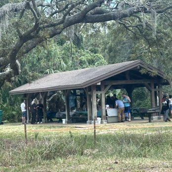 Fred Howard Park - Covered areas - Parks Near Me - Tarpon Springs, Florida