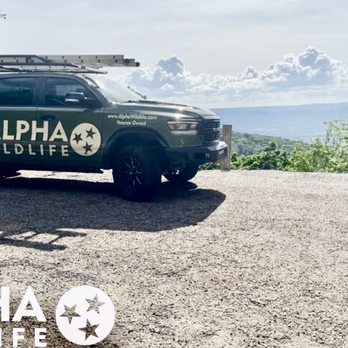 Alpha Wildlife - Alpha Wildlife Truck in Chattanooga TN - Wildlife Control Near Me - Chattanooga, Tennessee Alpha Wildlife - Alpha Wildlife Truck in Chattanooga TN - Wildlife Control Near Me - Chattanooga, Tennessee