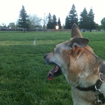 Phoenix Park - Photo shoot on the soccer field - Parks Near Me - Fair Oaks, California