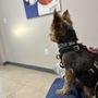 Photo of Firehouse Animal Health Center - Round Rock