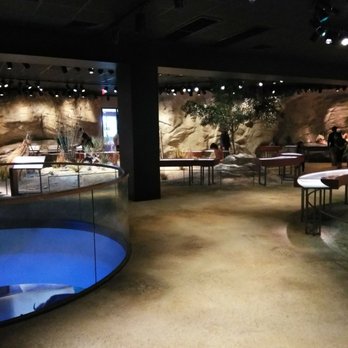 Witte Museum - Museums Near Me - San Antonio, Texas