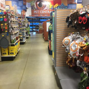 PetSmart - Petsmart of Rochester -- 160 Washington Street / Route 202, Rochester           Interior - Pet Training Near Me - Rochester, New Hampshire