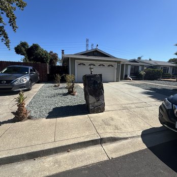 Macalvey's Nursery - Nurseries & Gardening Near Me - Martinez, California