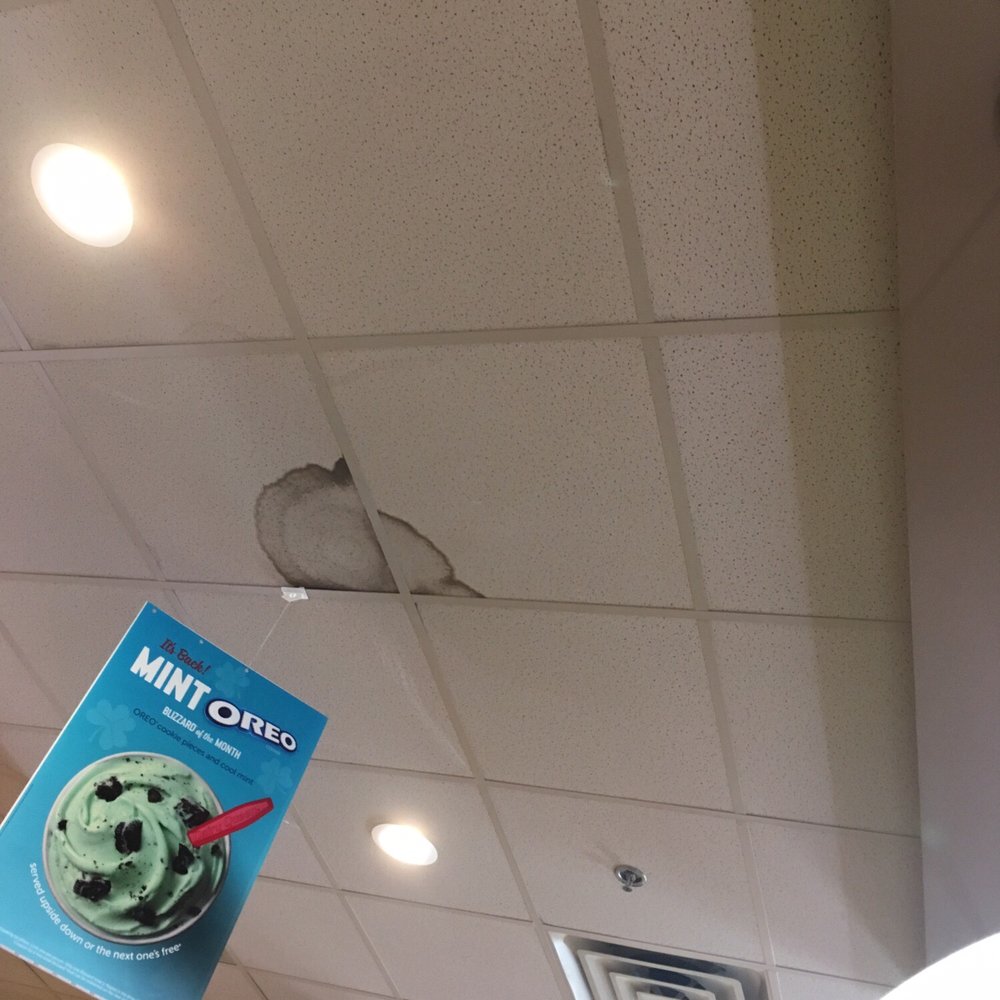 Dairy Queen Grill & Chill - Ceiling tiles - Ice Cream & Frozen Yogurt Near Me - Island, Georgia Dairy Queen Grill & Chill - Ceiling tiles - Ice Cream & Frozen Yogurt Near Me - Island, Georgia