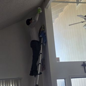 Brilliant Pest Solutions - Pest Control Near Me