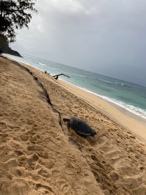 Baldwin Beach Park by null