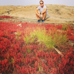 In the spring the Diamorpha bloom creating beautiful red pockets on the granite.