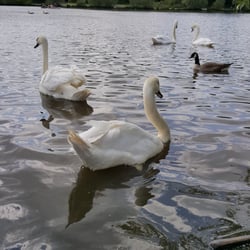 Hainault Forest Country Park