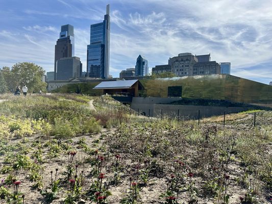 Calder Gardens by null