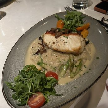 Shorebird - Sea bass with mushroom risotto. - Seafood Near Me - Newport Beach, California