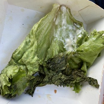 Bojangles - The single piece of lettuce in my chicken BLT. So sad... - Fast Food Near Me - Chattanooga, Tennessee