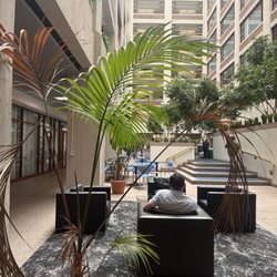Martinos Center For Biomedical Imaging - Comfy lounge area at the Martinos center