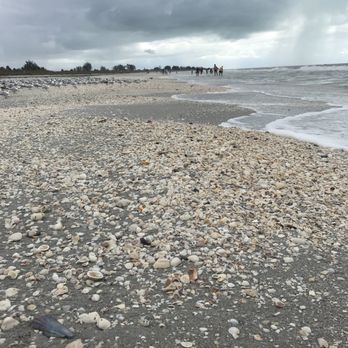 Bowman's Beach - Beaches Near Me - Sanibel, Florida