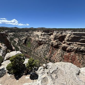 Colorado National Monument - The formations are stunning - Hiking Near Me - Fruita, Colorado Colorado National Monument - The formations are stunning - Hiking Near Me - Fruita, Colorado