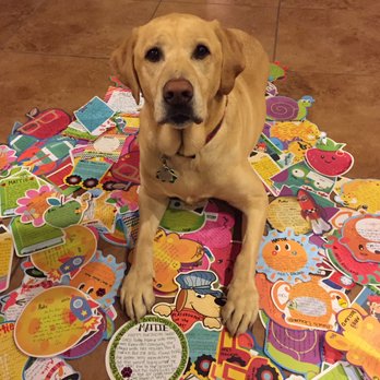 Dogland - Mattie and her take home notes from Arie's doggy day care. They are so cute, we saved them! - Pet Training Near Me - Albuquerque, New Mexico