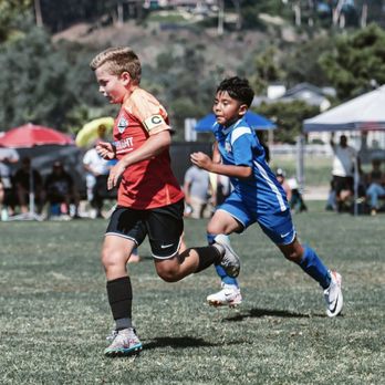 DMCV Sharks - Sports Clubs Near Me - San Diego, California