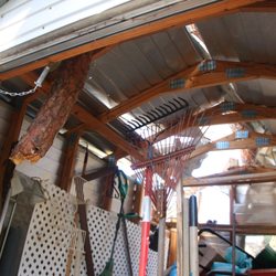 Teds Sheds - Hurricane IAN strikes our North Port shed. Withstood the 150 MPH winds.....but not the many ton 70 plus foot multi ton tree.
