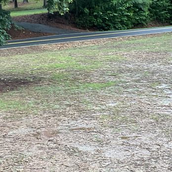 Red Oak Tree Service - Tree Services Near Me Red Oak Tree Service - Tree Services Near Me