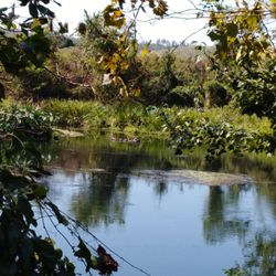 Savannah Rapids Park