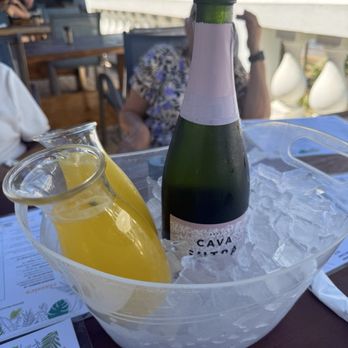 Casa Isleña Inn - Mimosas - Hotels Near Me - Rincón, Puerto Rico