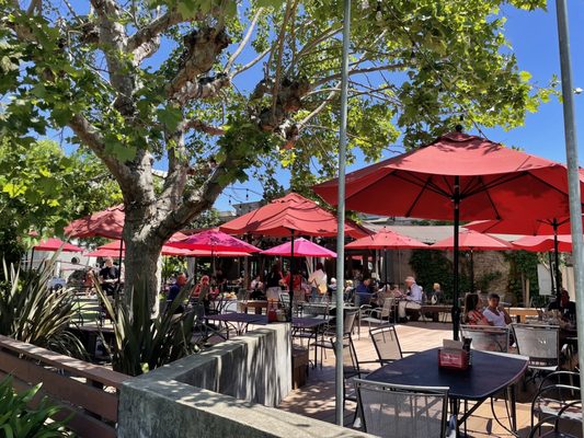 Healdsburg Bar & Grill by null