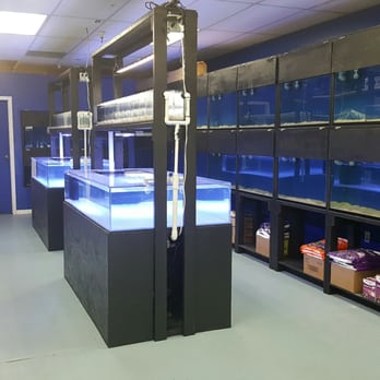 Splash Aquarium - Local Fish Stores Near Me - Sacramento, California Splash Aquarium - Local Fish Stores Near Me - Sacramento, California