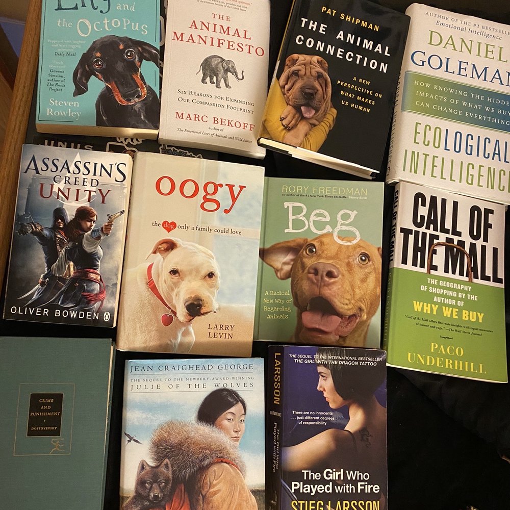 Sleepy Cat Books - Bookstores Near Me - Berkeley, California