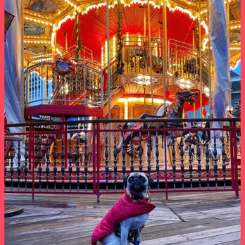 Pier 39 - Meet me at the carousel and buy me some popcorn. Haha. - Marinas Near Me Pier 39 - Meet me at the carousel and buy me some popcorn. Haha. - Marinas Near Me