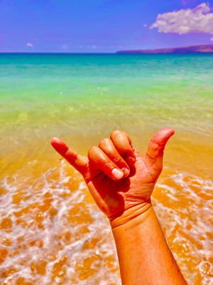Olowalu Beach by null
