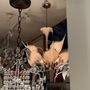 Photo of Shades Of The Past Antiques
