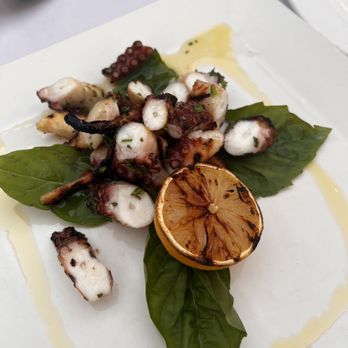 Cafe Santorini - Octopus - Italian Near Me - Pasadena, California Cafe Santorini - Octopus - Italian Near Me - Pasadena, California