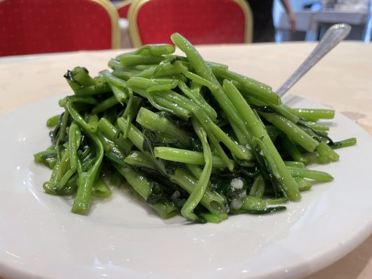 Gold Mine by null Gold Mine by null