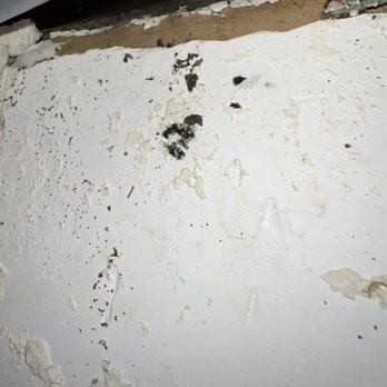 Breakpointe Coronado - This is the mold spot that Jennifer Johnson had no interest in looking at or testing and instead had them paint right over it. - Apartments Near Me - Isla Vista, California Breakpointe Coronado - This is the mold spot that Jennifer Johnson had no interest in looking at or testing and instead had them paint right over it. - Apartments Near Me - Isla Vista, California