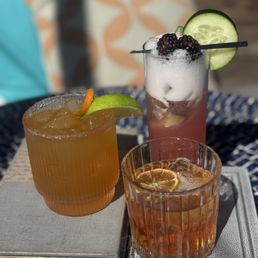 Pimm's margarita, blackberry gin fizz, and the botanist old fashioned.