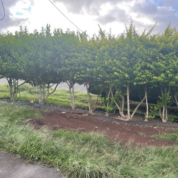 Murakami Landscaping - When he first started. - Irrigation Near Me Murakami Landscaping - When he first started. - Irrigation Near Me
