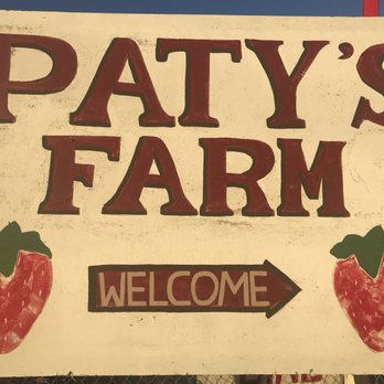 Patys Farm - Grocery Near Me - Somis, California