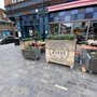 Photo of Zizzi